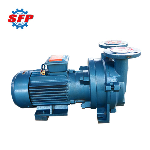 2BV Series Water Ring Priming Pump